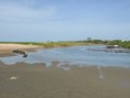 /album/photogallery/creek-at-tanji-jpg/